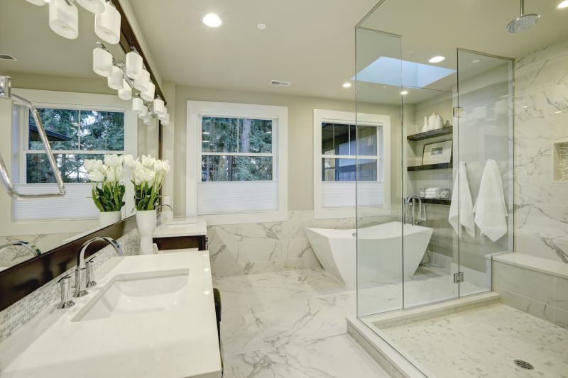 Stylish Shower and Tub Combo
